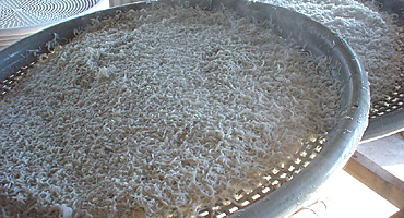 ���E���E�Ɠ��C�̏オ��o�����Ă��炷