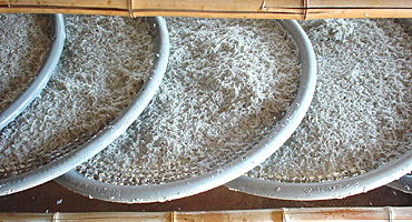 �K�x�ɐ������c�����؂�