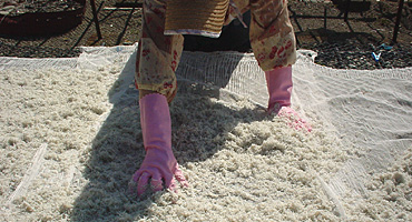 ���炷���ς�ς�ӂ�ӂ��