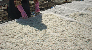 ���炷���܂�ׂ�Ȃ��L���܂�