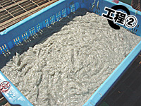 ���̏�Ԃ��h�����ƌ����܂��B