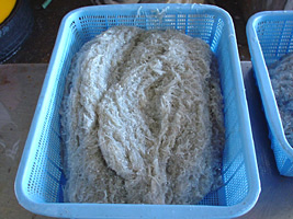 ����̂��߈�x�ɂ��ꂾ�����������ł��܂���