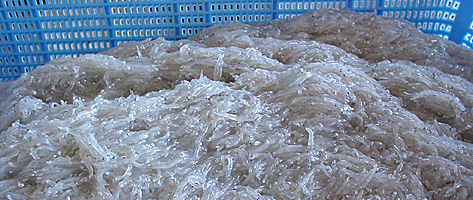 �s���Ɨ����������炷